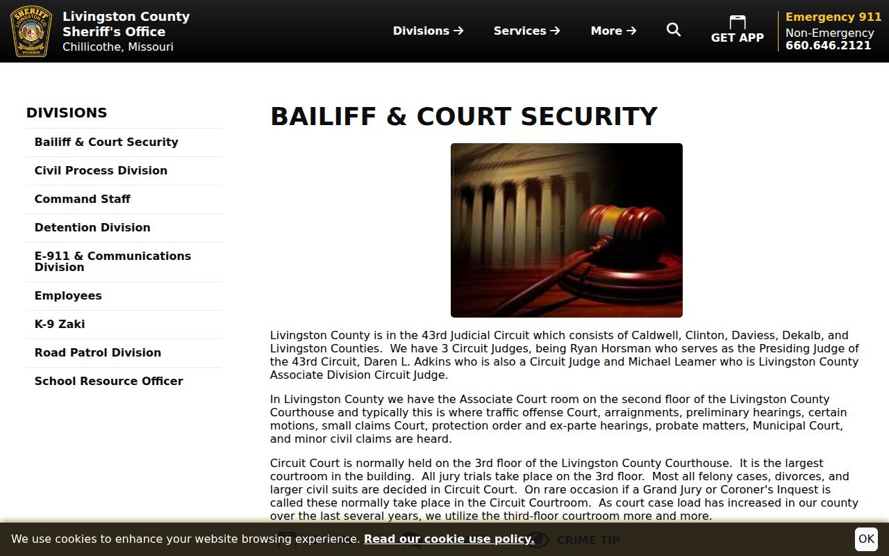 Livingston County court calendar courthouse security guidance